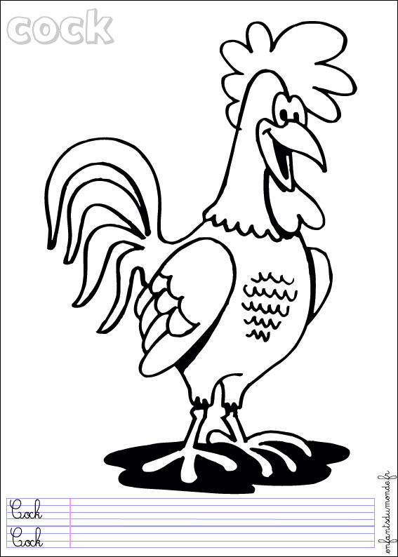 coloriage coq 3